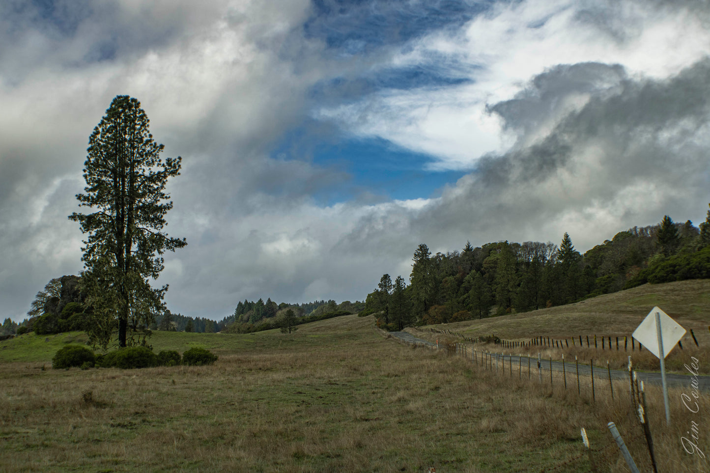 Sherwood Road Fine Art Print