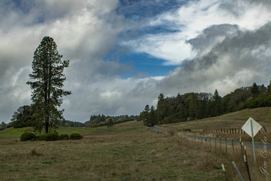 Sherwood Road Fine Art Print