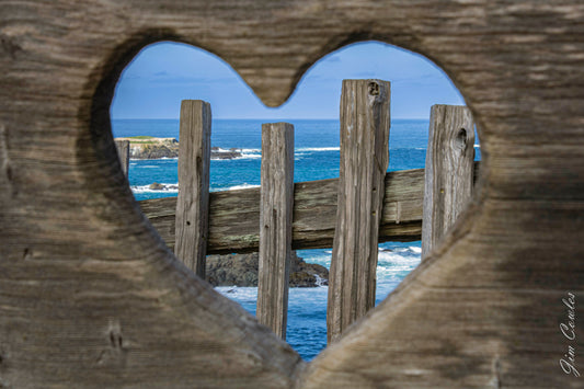 The Heart of Mendocino