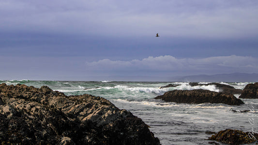Glass Beach